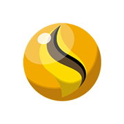 라이츄나이트 Y